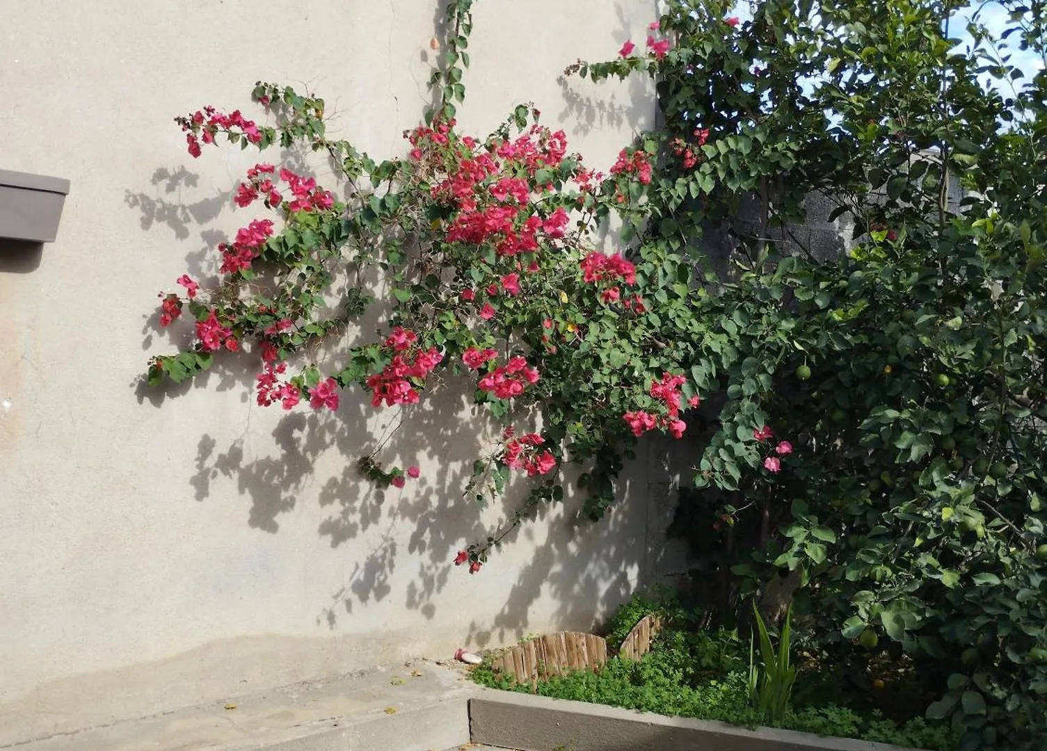 Casa vacanze Villa Giuly'S House Càbras Italia